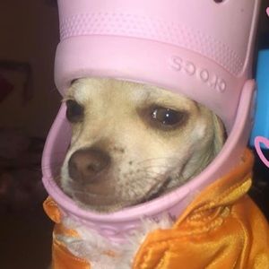 Meet your Posher, Ashley